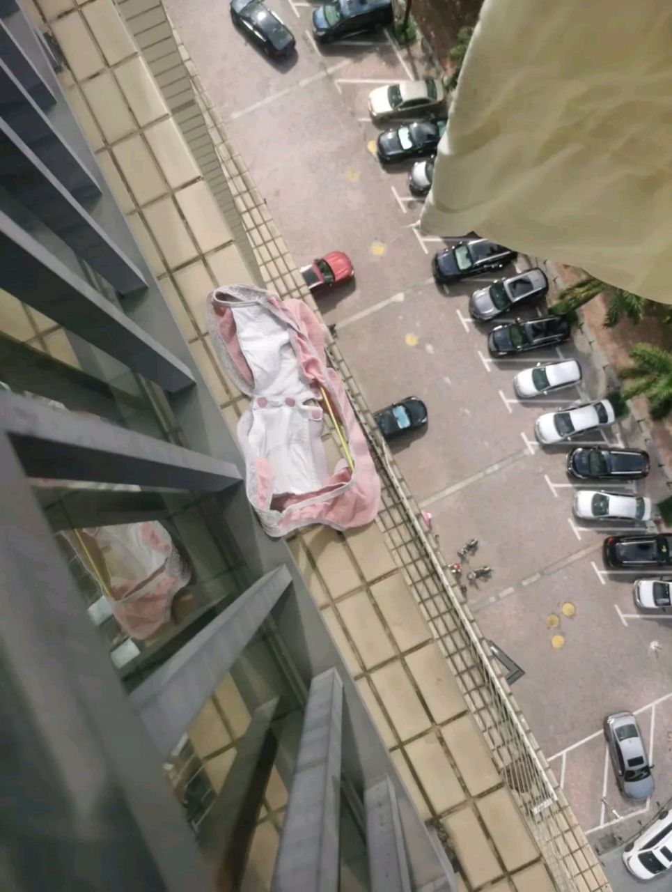 楼上掉下来凶器,两天了没人认领,我是要勾起来丢了