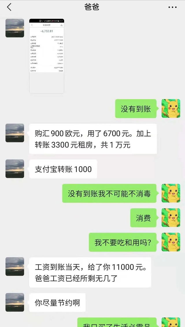 魔法猪事件图片