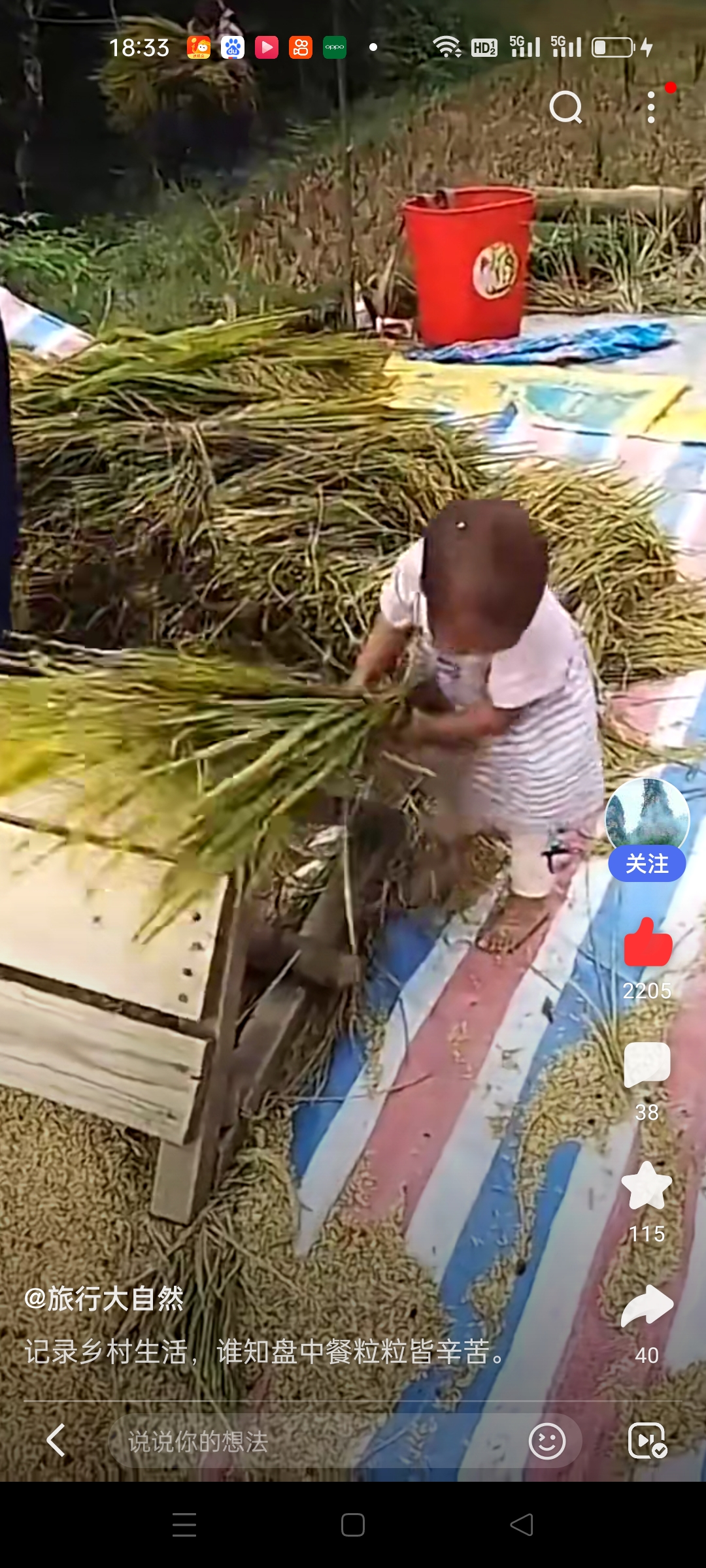 夹缝中求生存