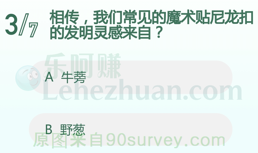 相传魔术贴尼龙扣的发明灵感来自牛蒡 相传魔术贴尼龙扣的发明灵感来自牛蒡