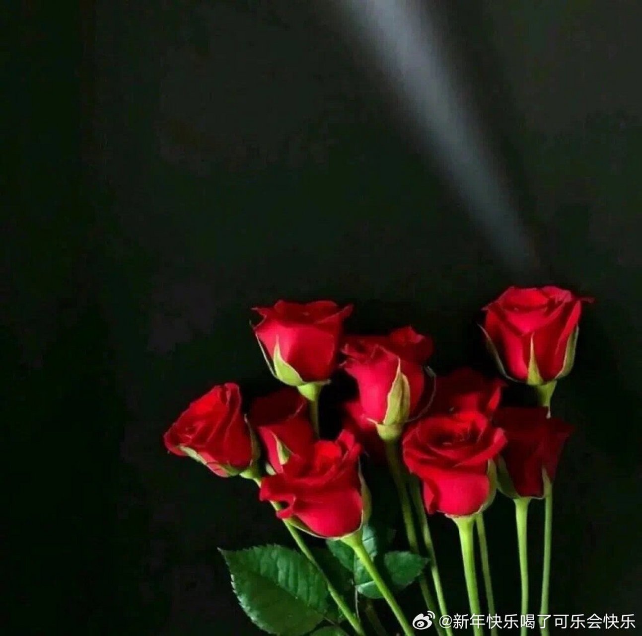 前,你总有一段需要耐心磨练,不断积蓄的时间,每一份努力都不会被辜负