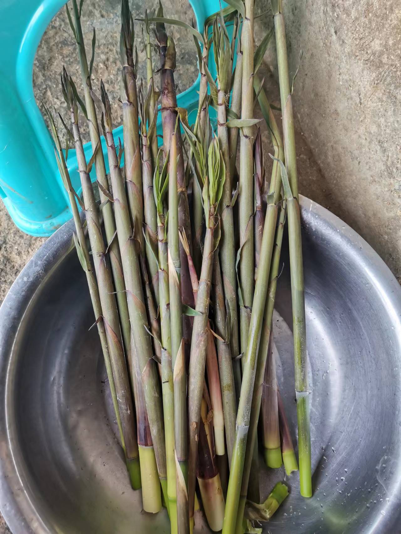 小时候的零食,长大后的山珍海味