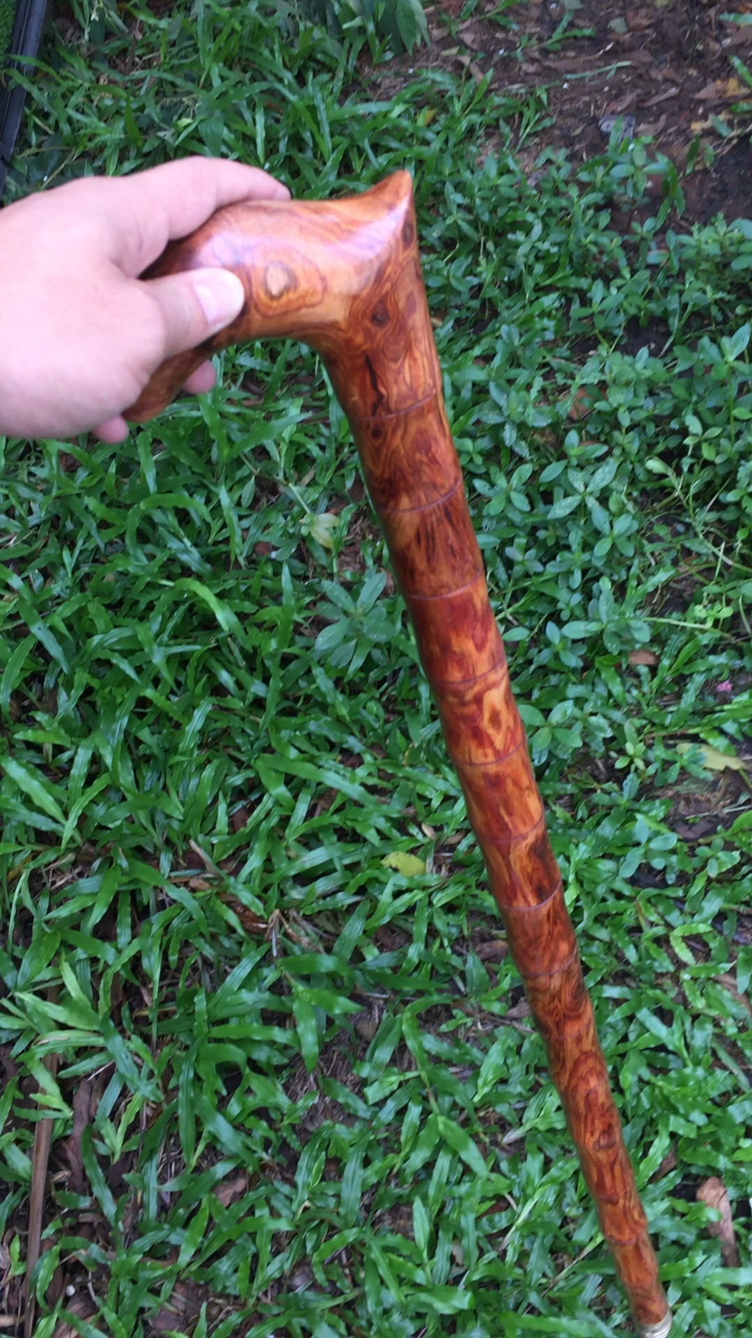海南黄花梨拐杖