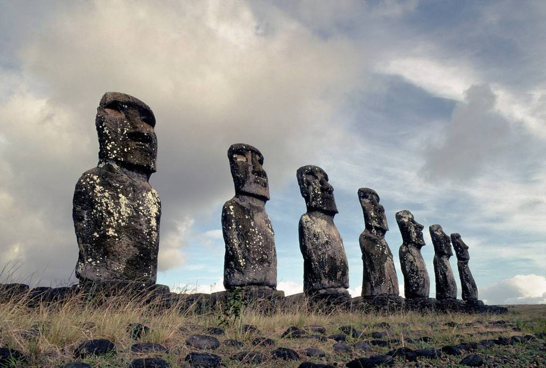 复活节岛摩艾石像-摩艾.