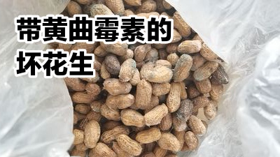 你是否知道,带着黄曲霉素的花生是什么样子?