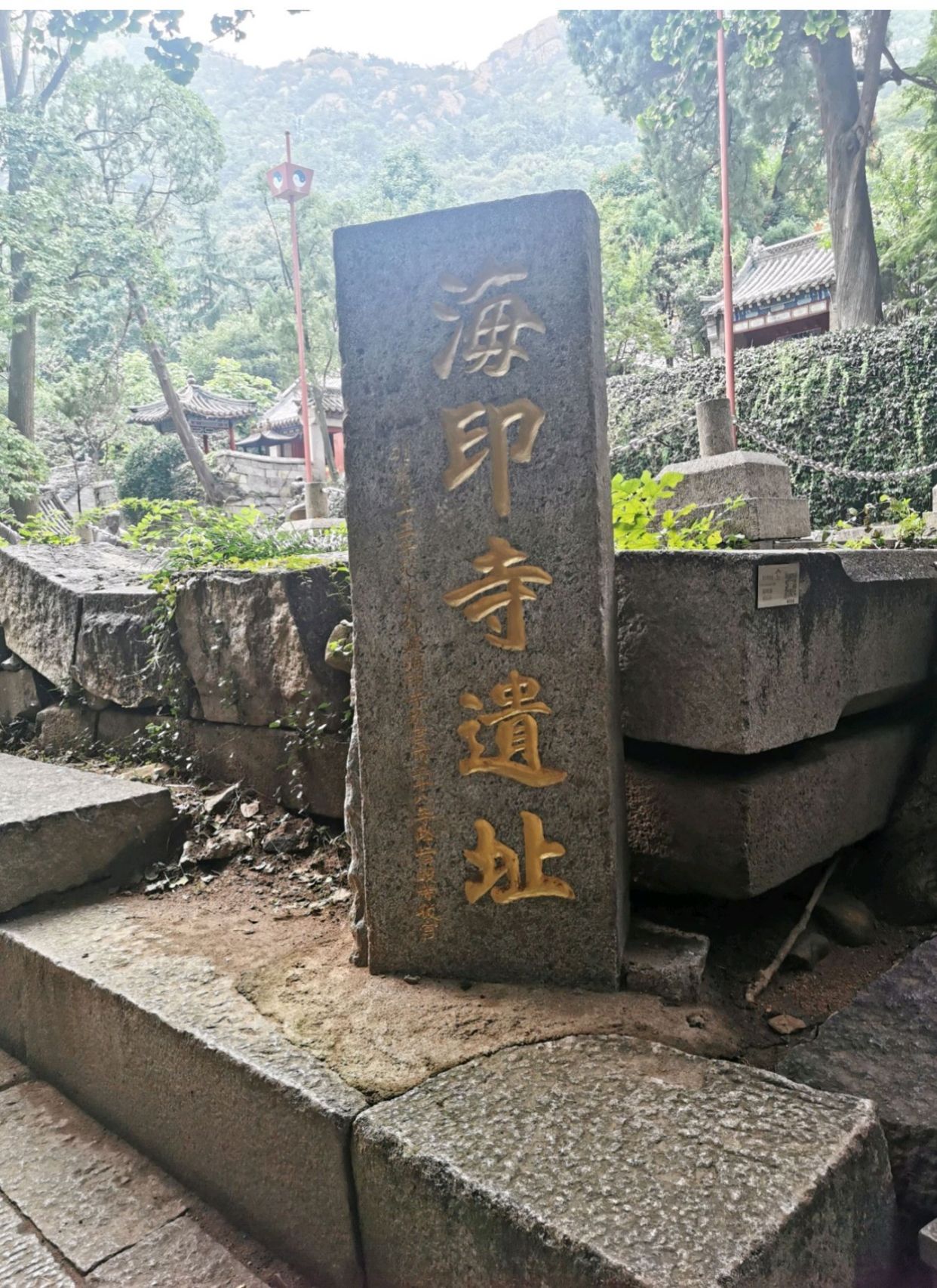 青岛海印寺图片