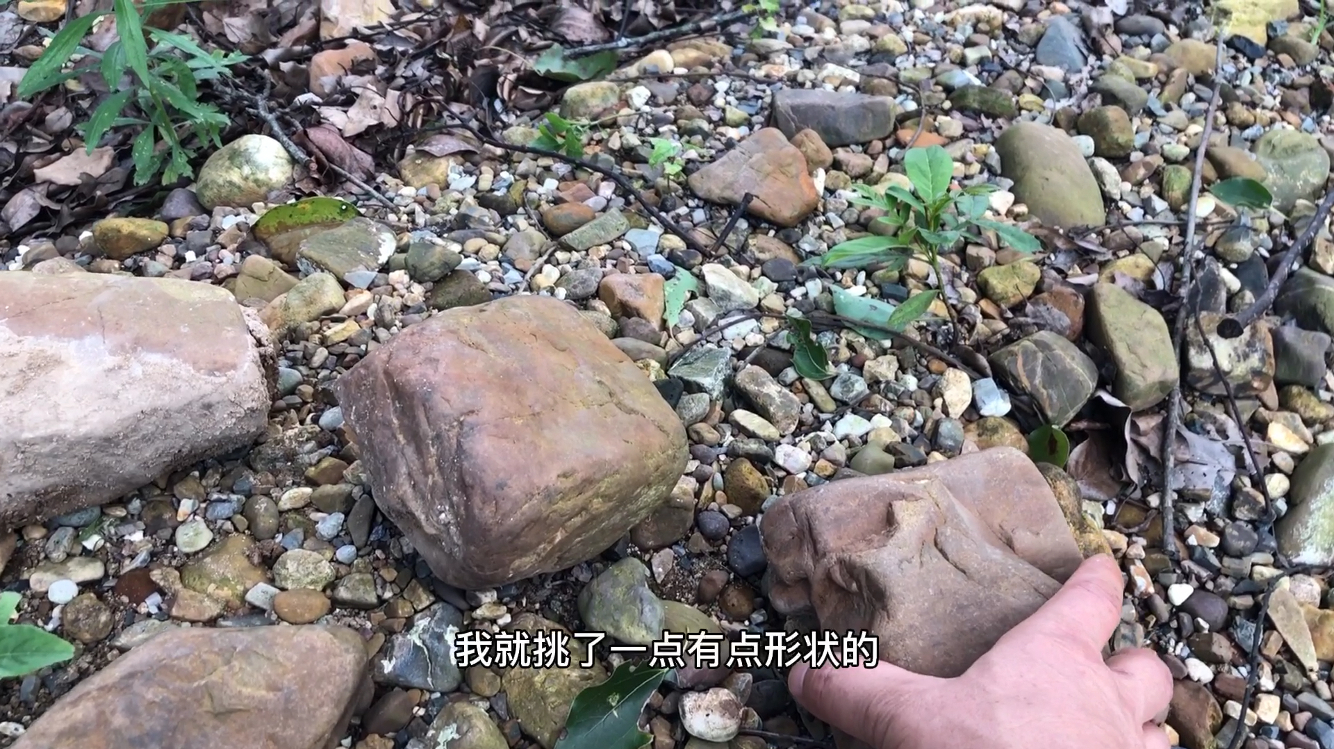 想要的鹅卵石无意捡到了,用来做悬崖桩的压盆石,效果应该不错