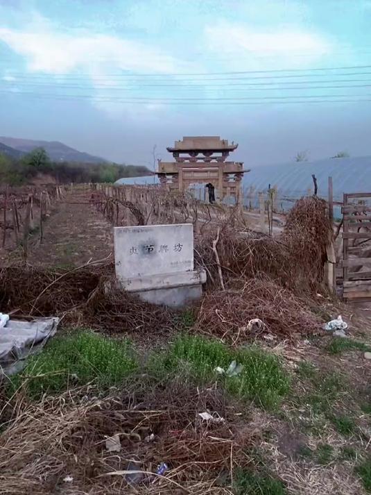 山西太原清徐县都沟村贞洁牌坊,清朝光绪二十三年建