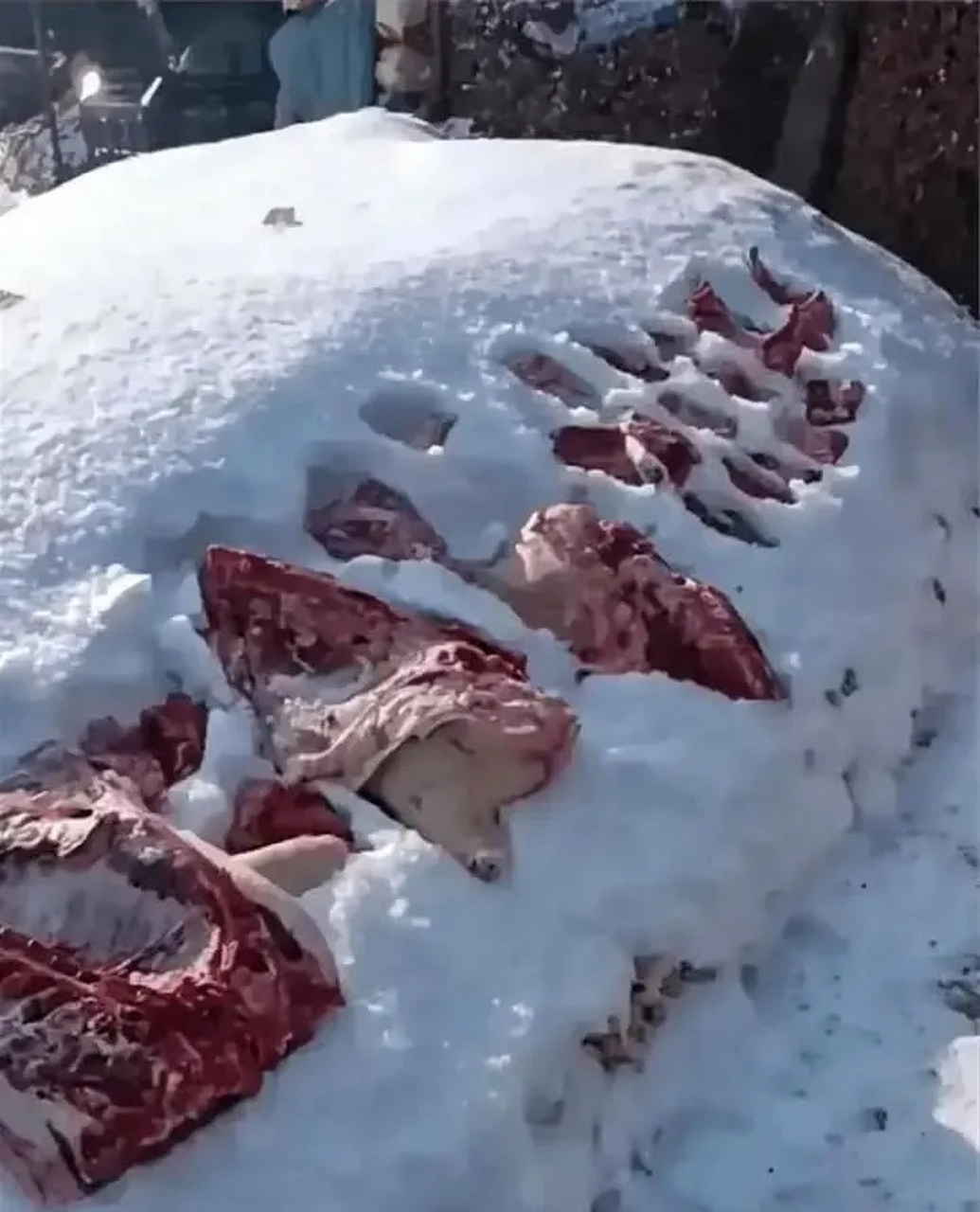 东北这么冻肉真的不会丢吗?