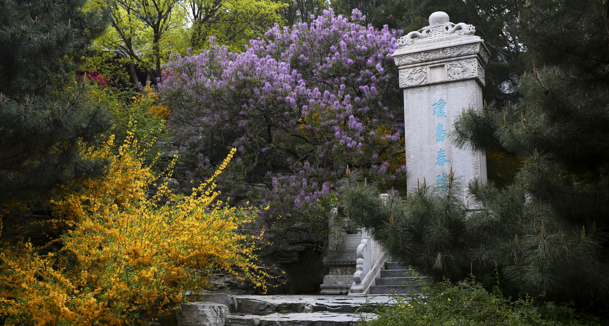 遇见最美的你 · 琼岛春阴