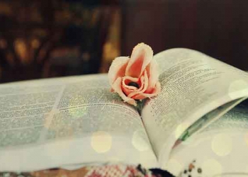 《窑湾古镇奇闻趣事》电子版