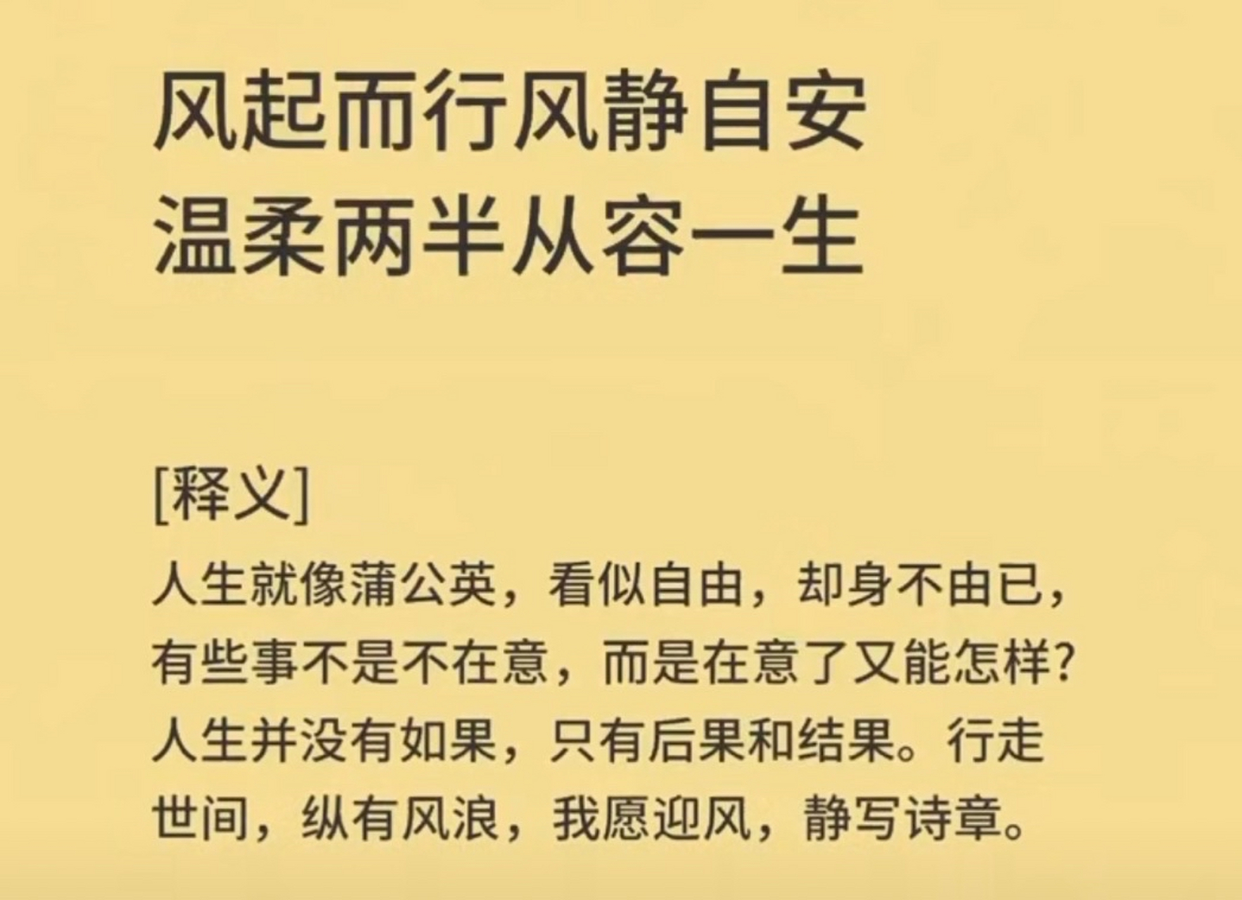 山鸟与鱼不同路 再见容易再见难  风起而行风静自安 温柔两半从容一生