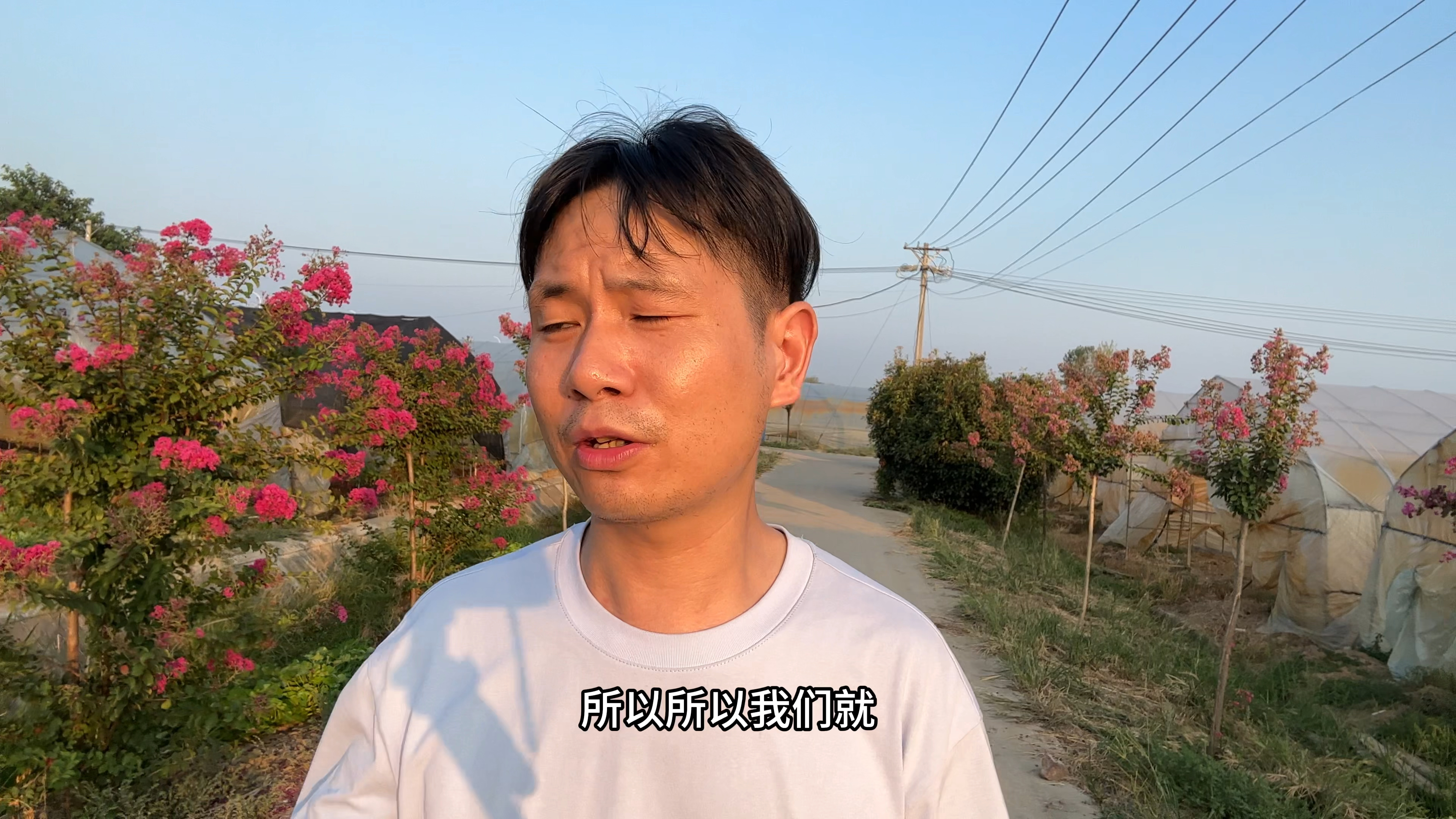 武汉岳母家,大棚蔬菜基地,住活动板房,有的不习惯,打算回仙桃