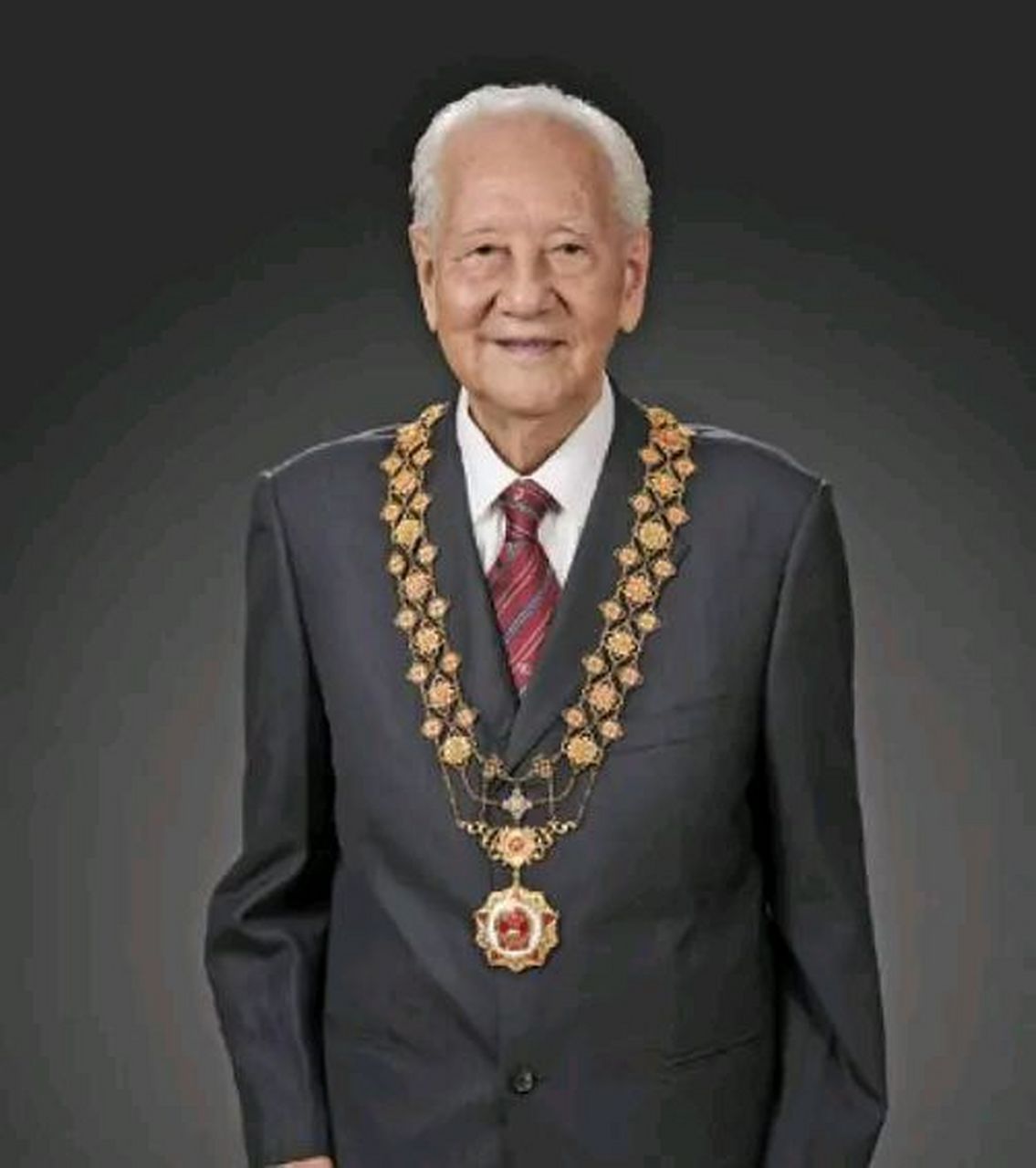 请您为伟大的科学家停留1秒,黄旭华icon,中国核潜艇事业的先驱者和