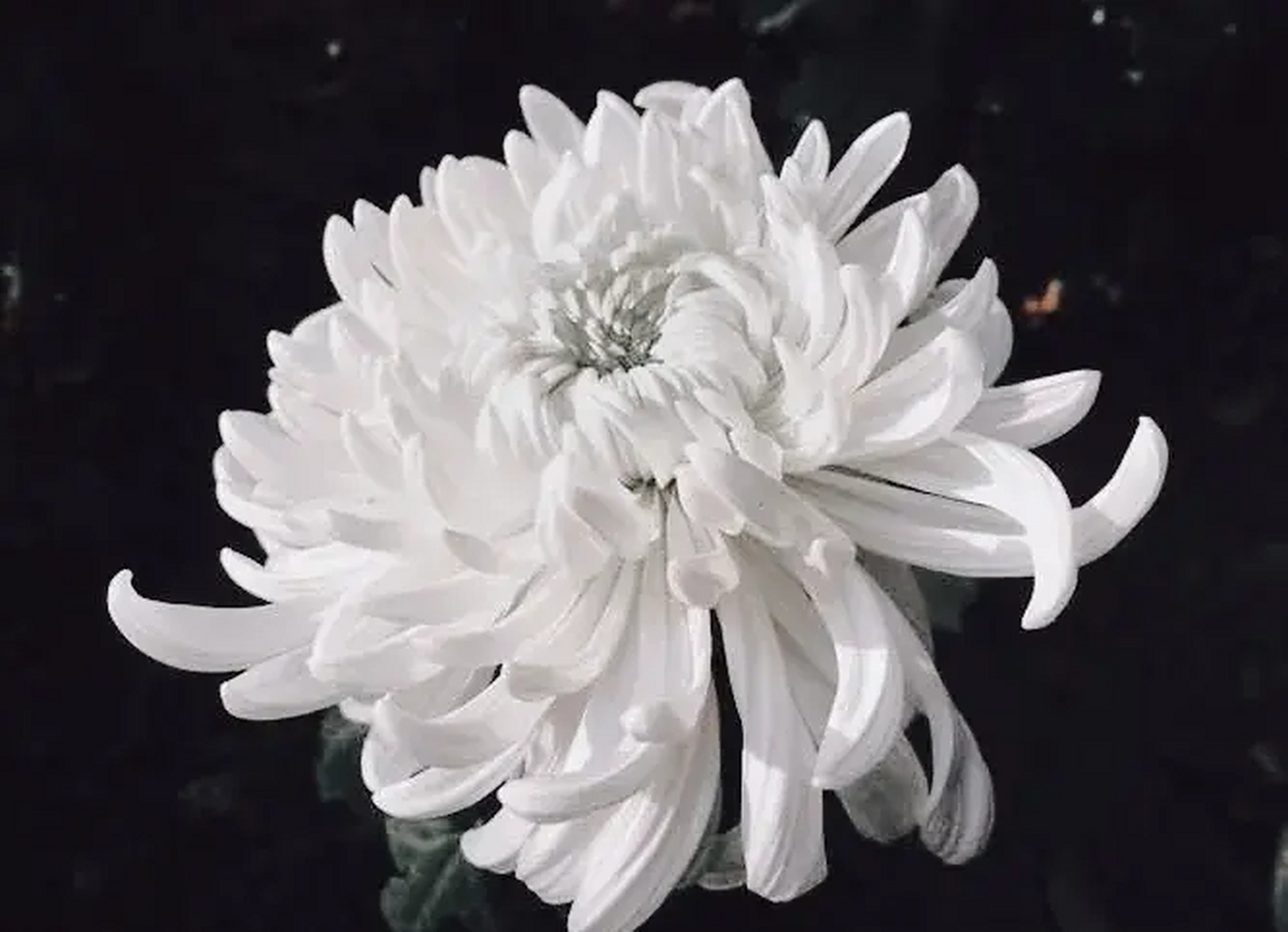 愿逝者安息,一路走好[蜡烛][蜡烛][蜡烛] 生命无常,我们无法预料未来