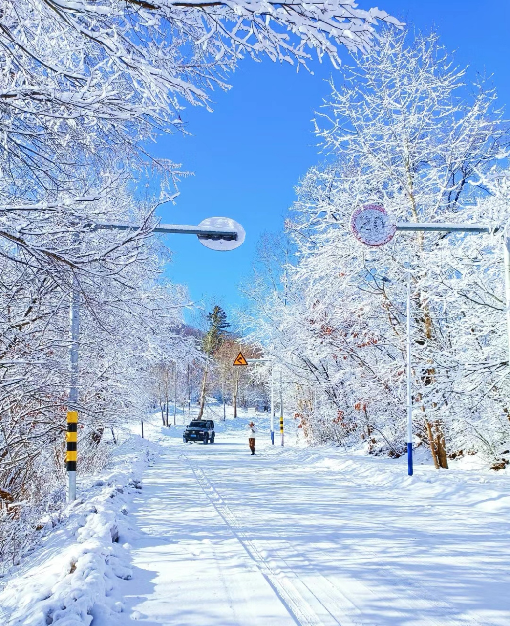 冬天的东北是最美的季节,每一天都是北国风光,千里冰封,万里雪飘的
