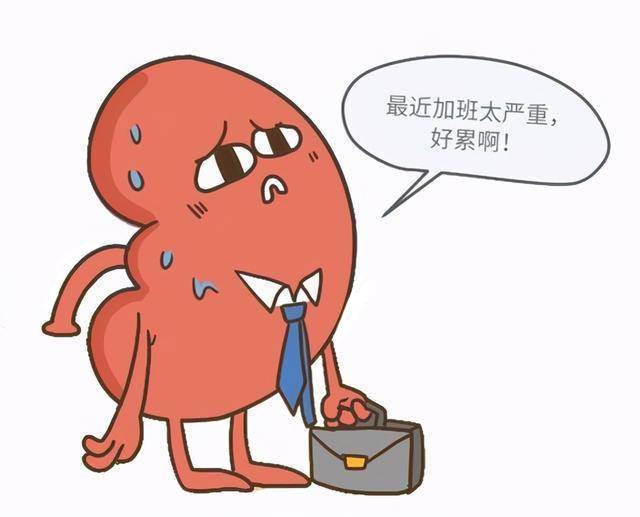 高彦彬:肾脏衰竭是怎么导致的?该怎么办?