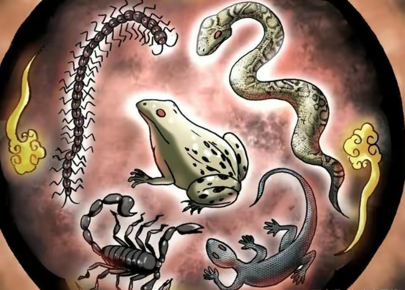 "蛊"究竟是什么?为什么历朝律法对养蛊的处罚如此严厉?