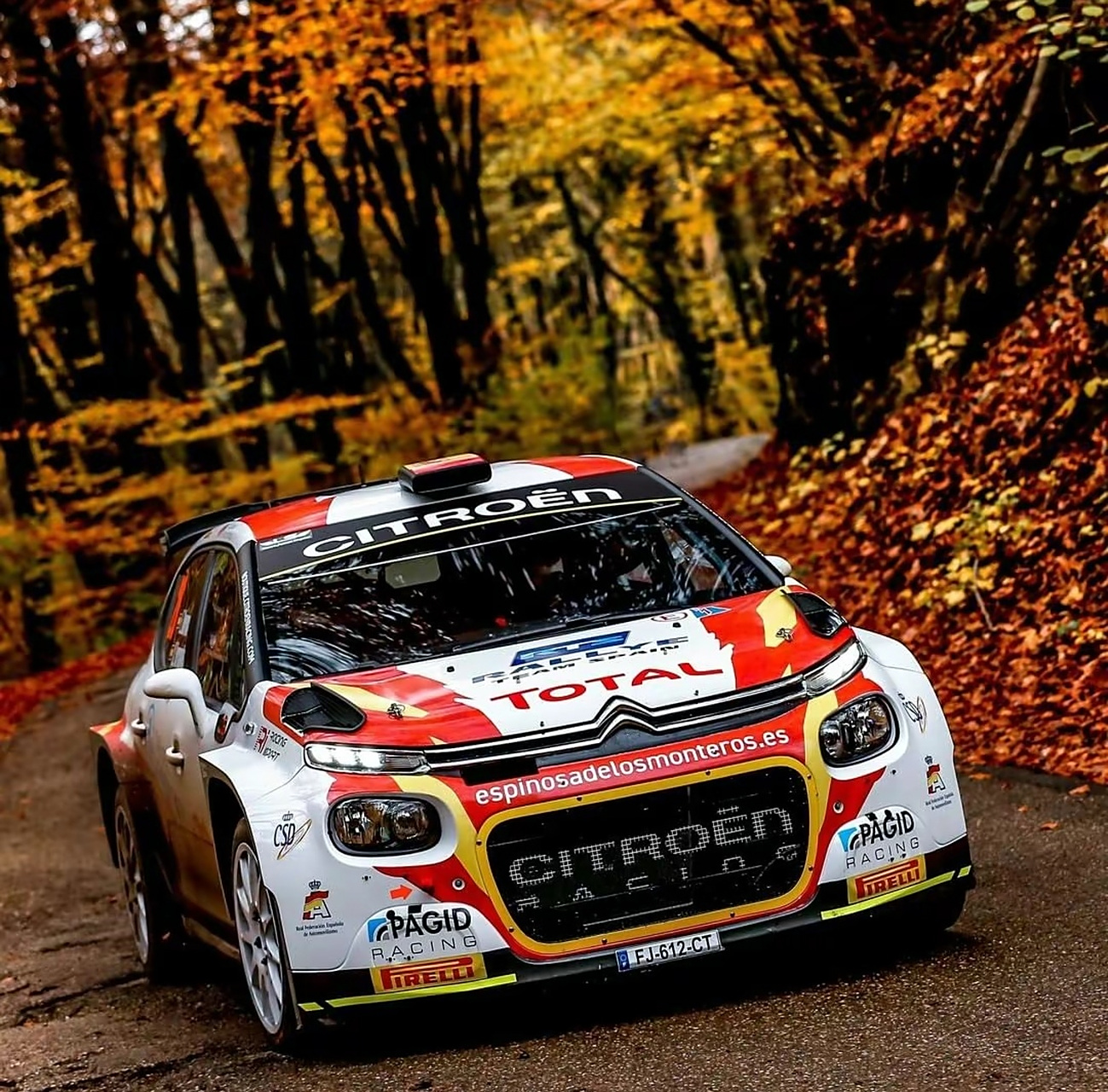 wrc之油门踩到底