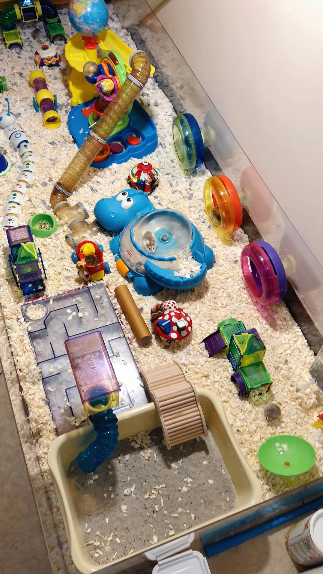 仓鼠游乐园开始营业了