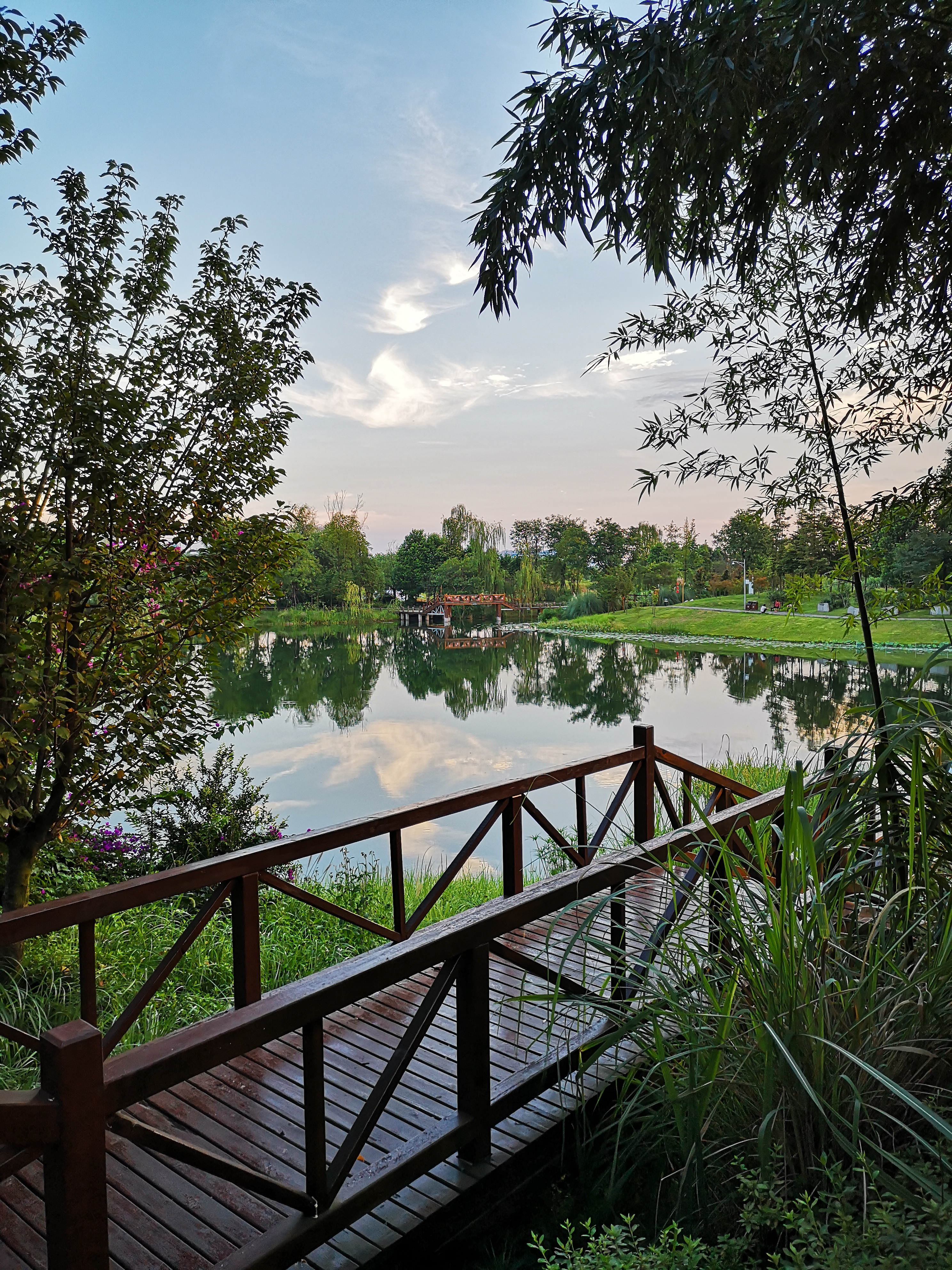 洛水湿地公园还是那么美