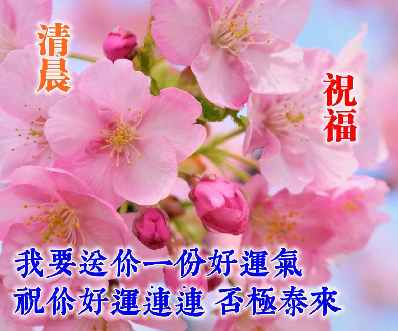 非常好看的早上好问候图片 发朋友圈漂亮的早安祝福唯美图片