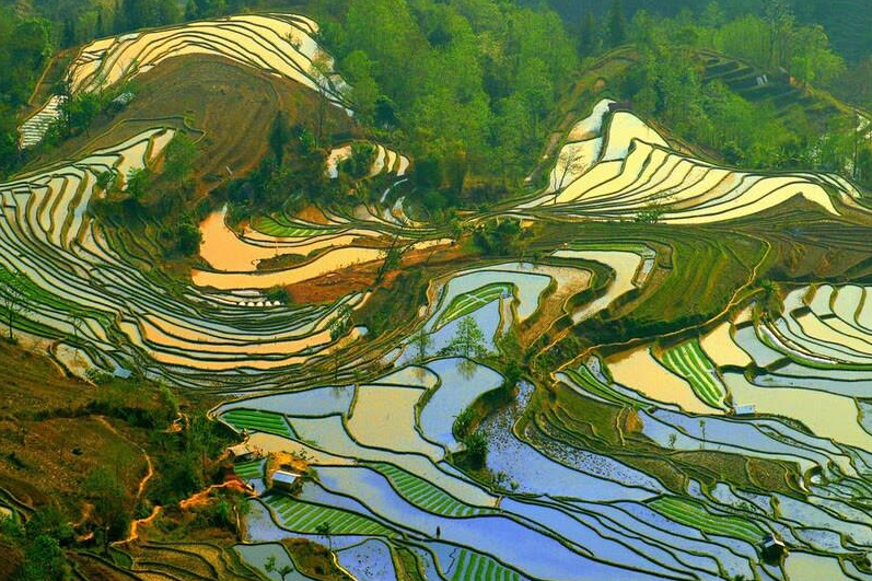 山区梯田风景图片图片