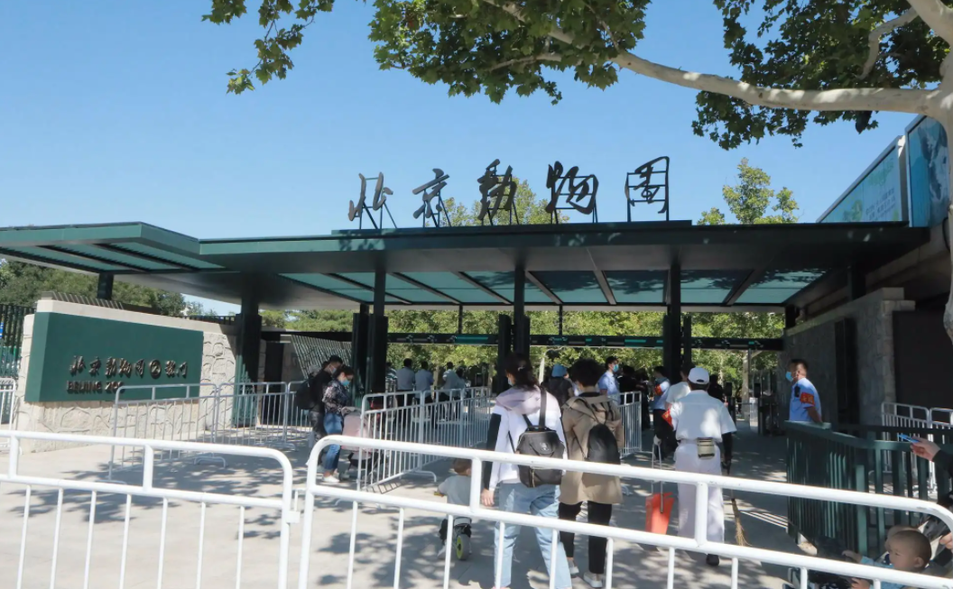 公園年卡北京2022去哪些公園?