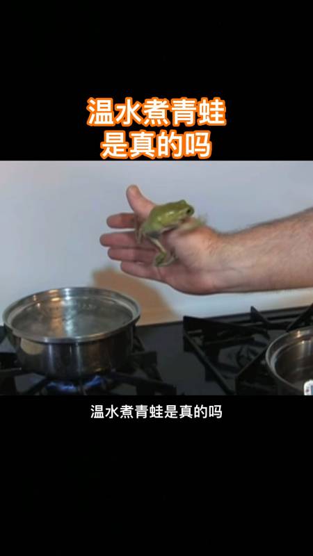 真实温水煮青蛙实验竟然出现了2种结果