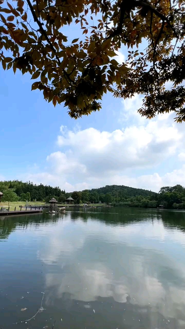 南京银杏湖主题公园图片