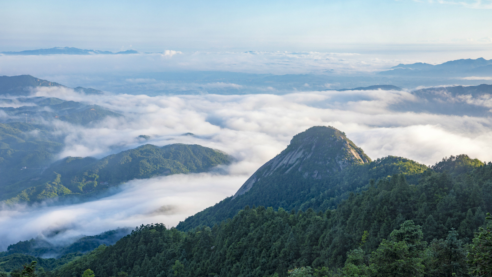 大云山国家森林公园:雾约四季