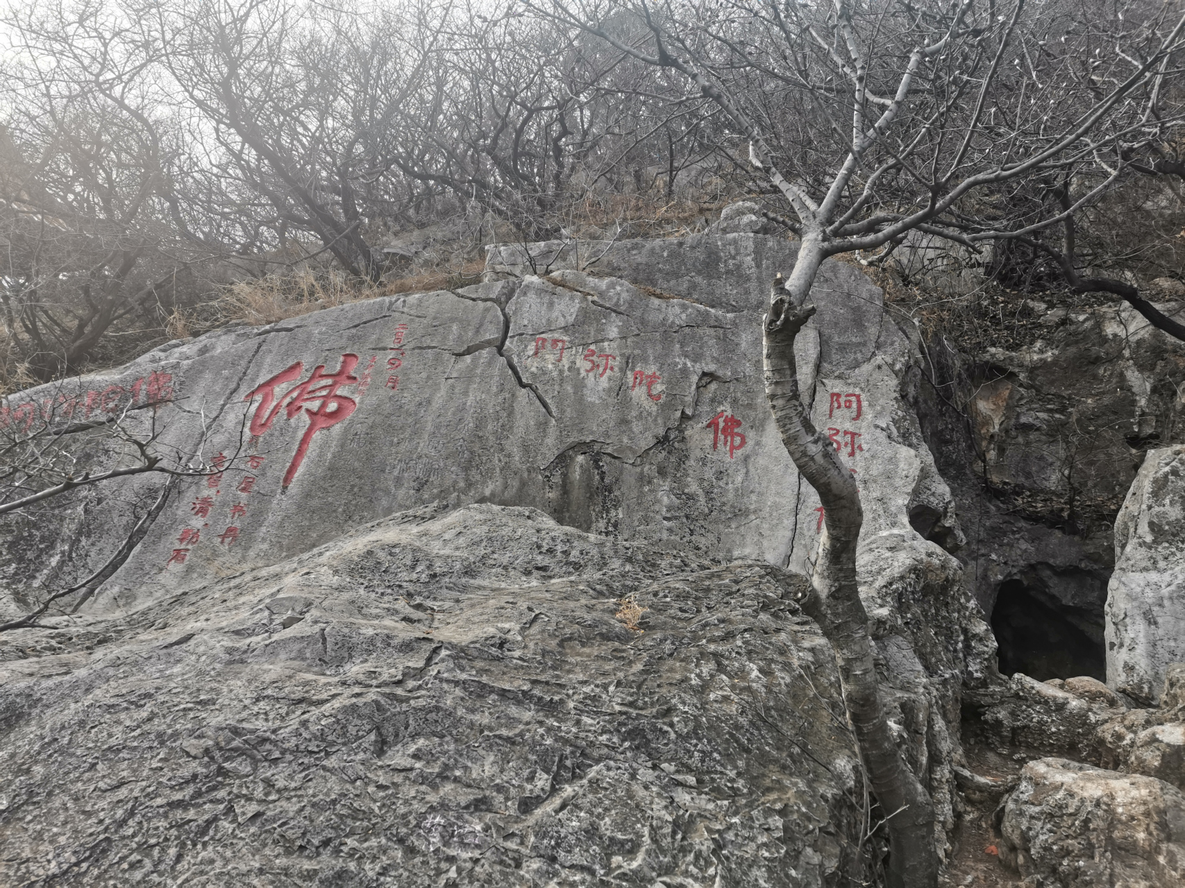 淮北相山公園半日遊.將軍亭,動物園,遊樂園!