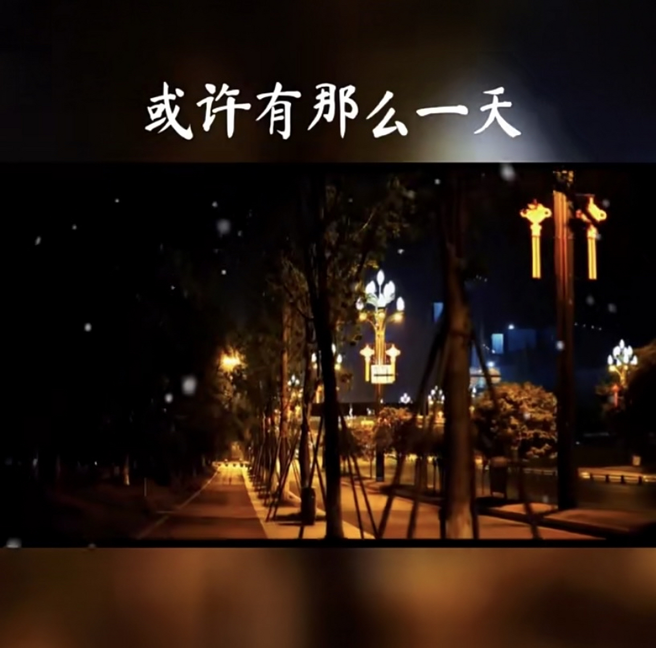 我放下所有的执着和不舍,带着稍许的遗憾,过着没有你的生活,那是释怀