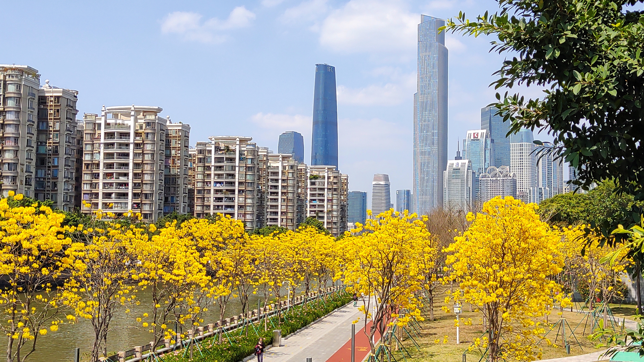 曼哈顿之广州分顿,曼哈顿之秋—广州之春  景色惊现磨碟沙公园