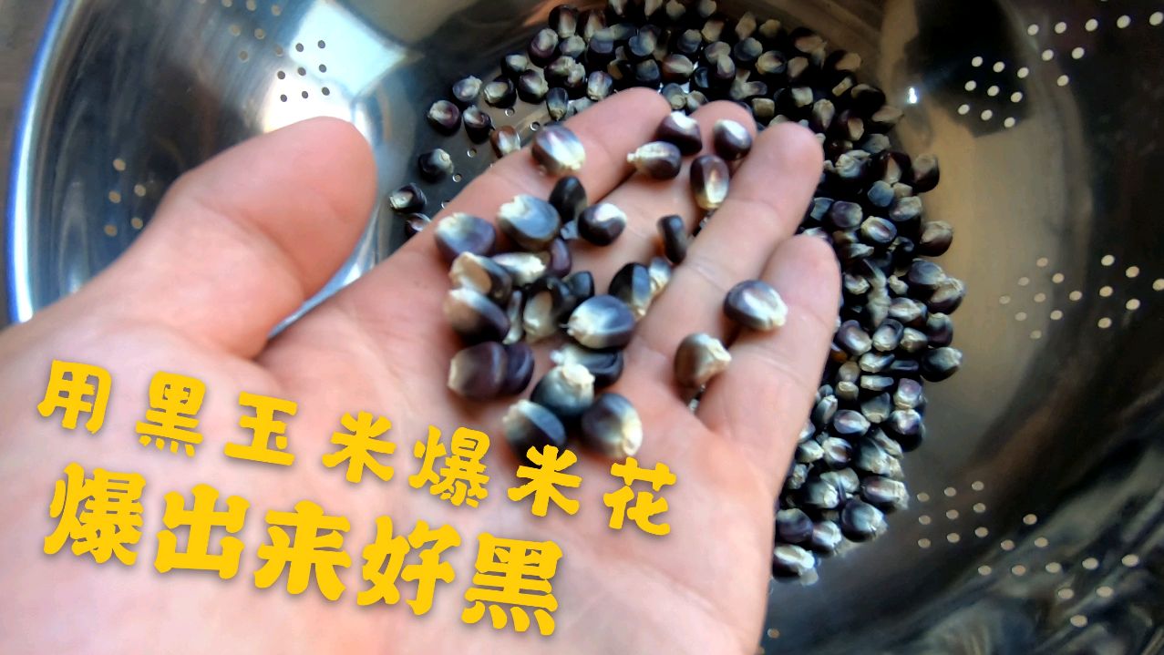 用黑玉米爆米花,爆出来什么颜色,成品有点出乎意料