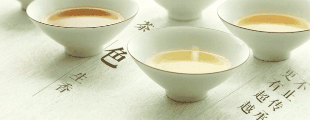 福鼎白茶是属于红茶吗