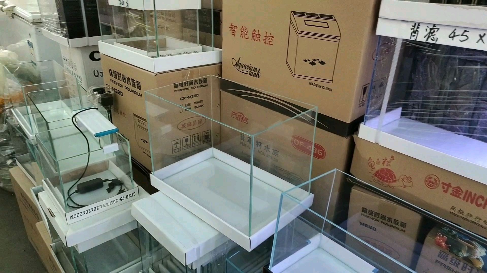 过来观赏鱼市场,了解超白鱼缸价格,长度50厘米100元便宜吗