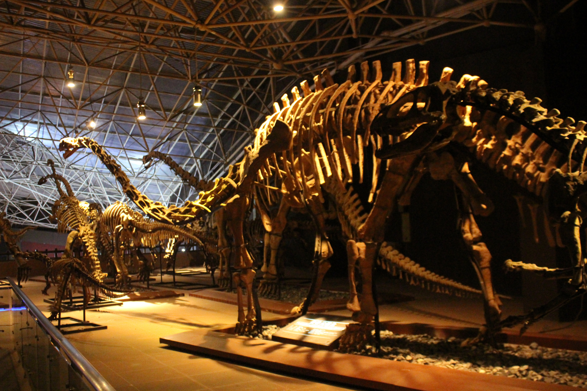 世界恐龙谷,位于云南楚雄到昆明的高速中间位置,紧邻杭瑞高速,有高速