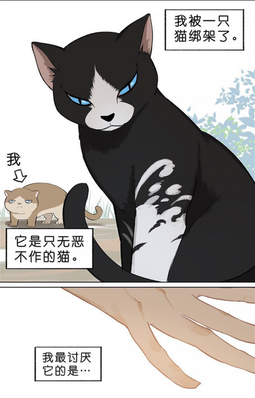 小肥猫震惊:这蠢猫竟然这么强? 画师:阿闷aman#短漫# #漫画