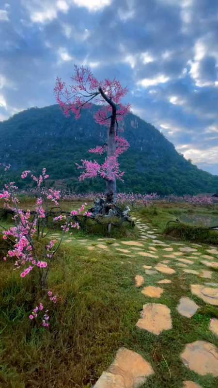 文山:普者黑风景区,空气清新,世外桃源,人间仙境.-度小视