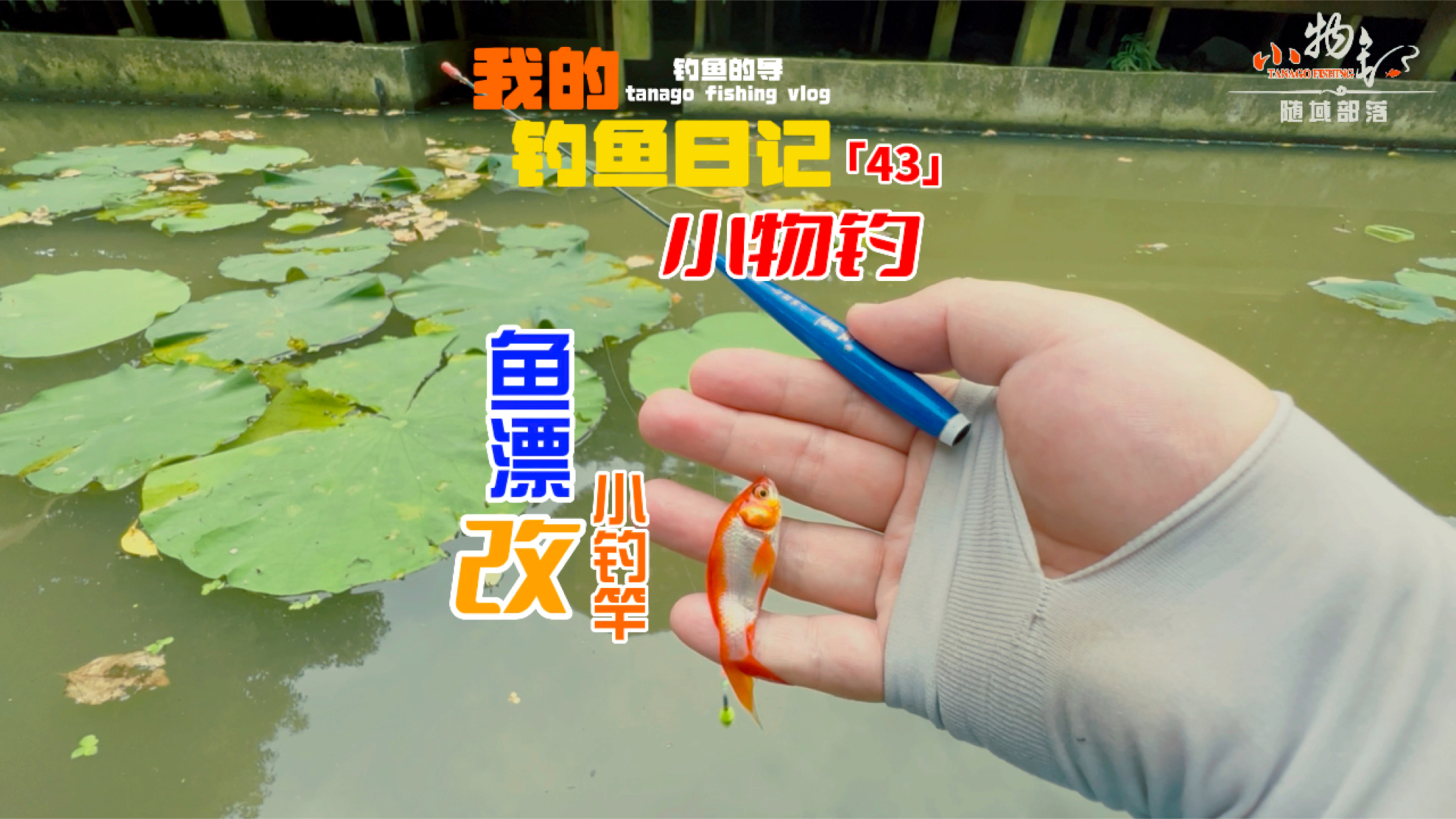 躺着小物钓你可千万别睡觉鱼漂改鱼竿