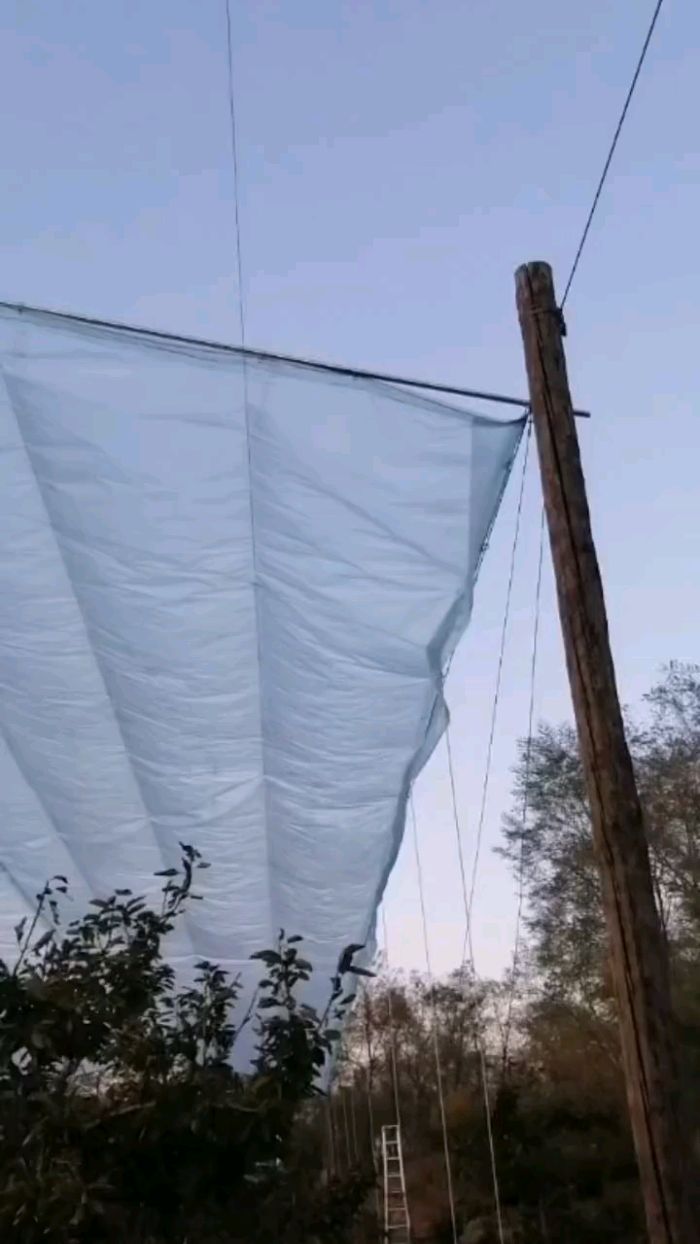 全自动大樱桃防雨棚