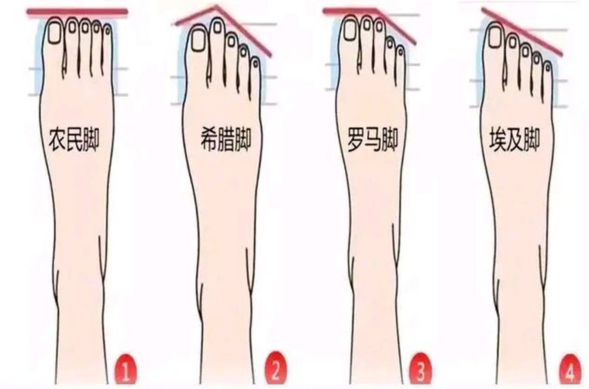 心理测试:对应你的脚型,看看你是不是天生好命?