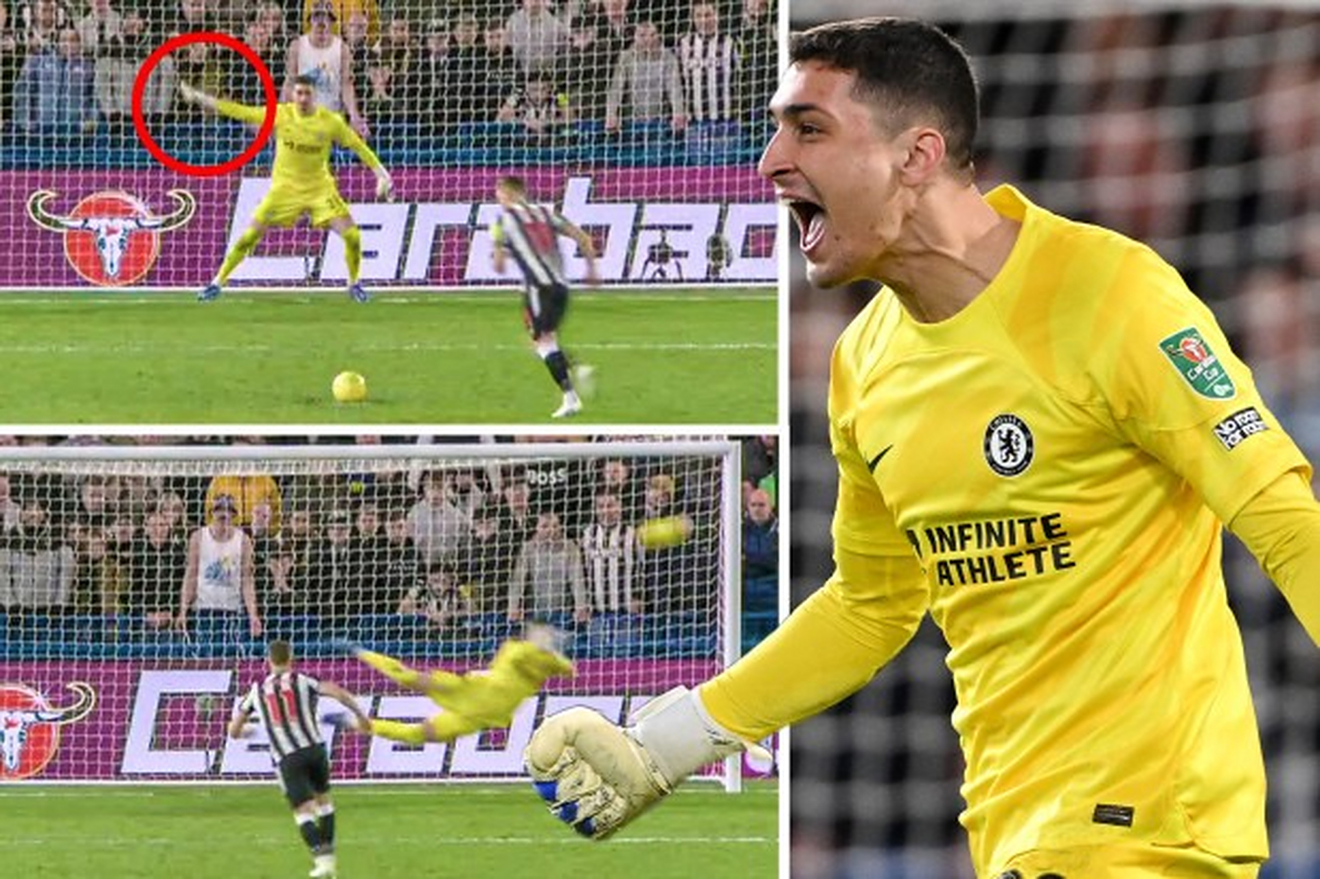 彼得罗维奇替补(彼得·彼得罗维奇) 彼得罗维奇替补(彼得·彼得罗维奇)