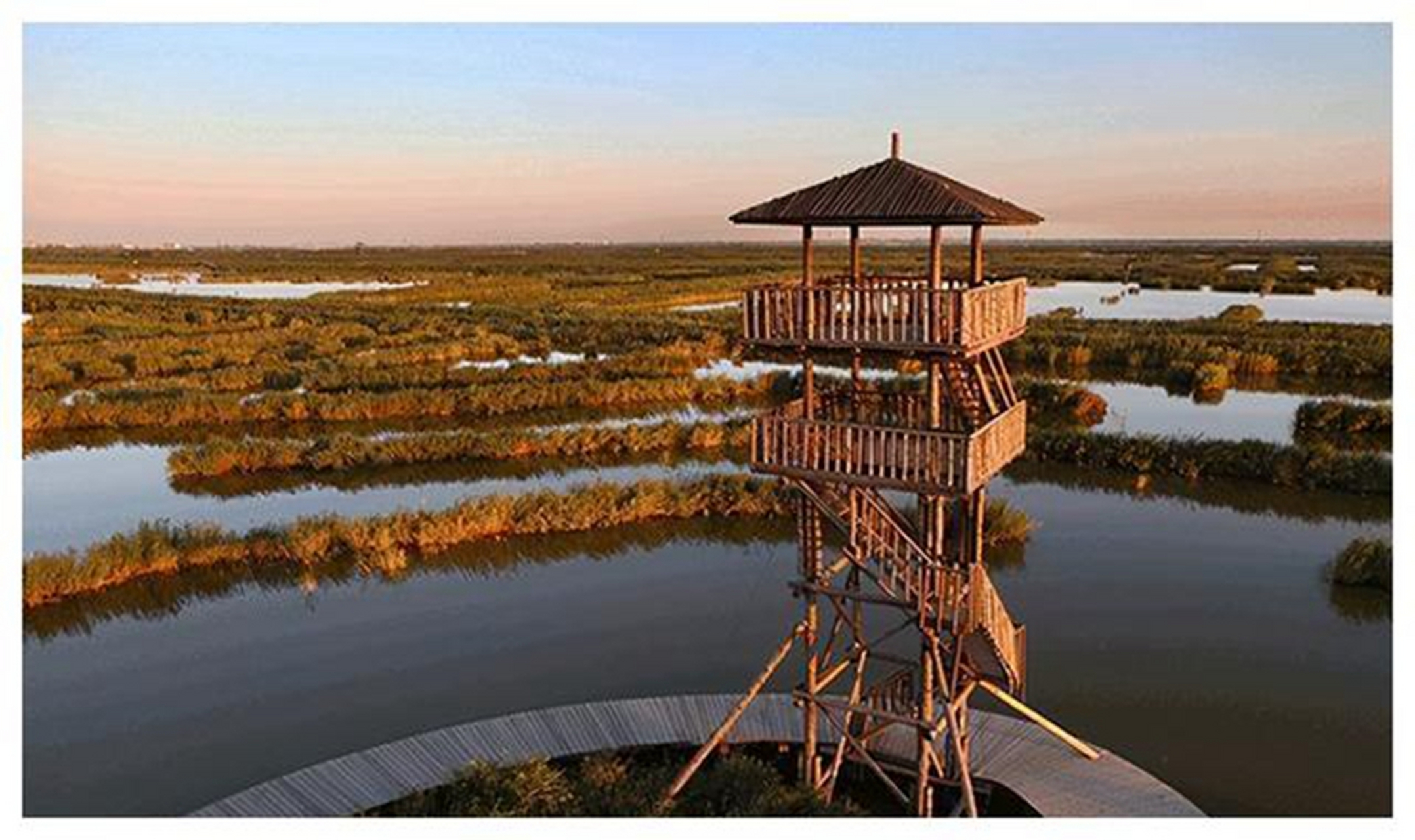 河北省的曹妃甸湿地公园是一处原生态景区,拥有丰富的动植物资源,是