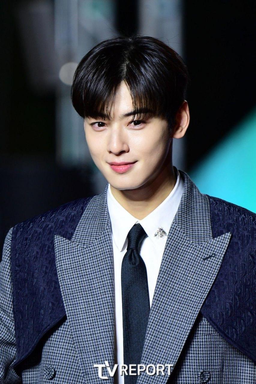 韩国男星车银优因其颜值和气质而备受关注,被评为"脸蛋天才".