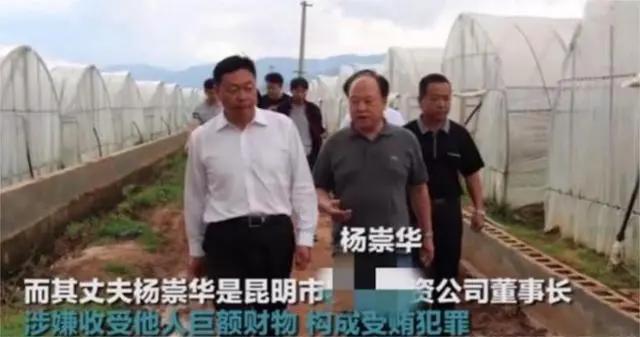 以权谋私,包养小鲜肉,"豪横"的孔彩梅,逼迫老公自断一根手指