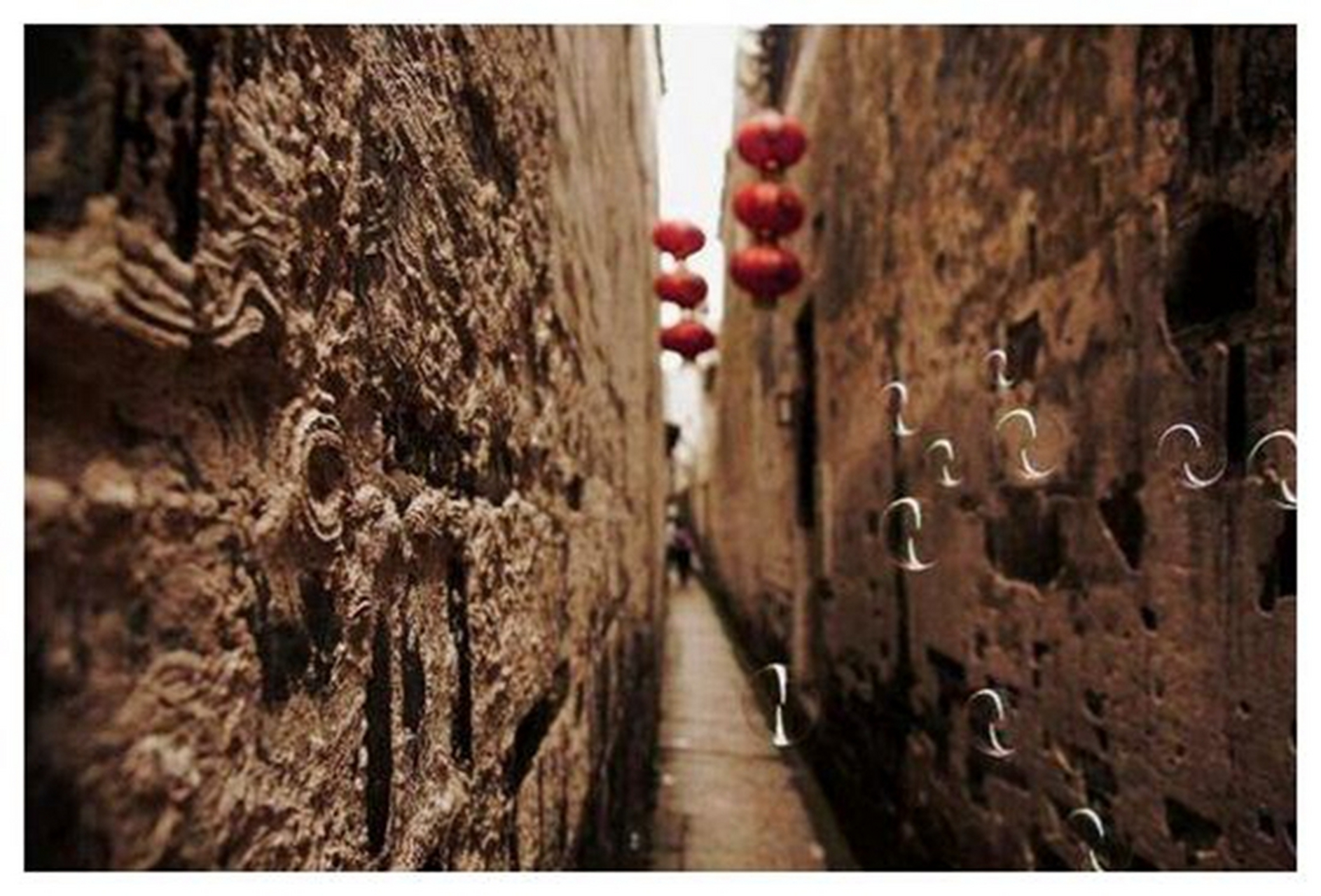 石皮弄是浙江西塘古镇的特色景点,因其狭窄,历史悠久且位置便利而备受