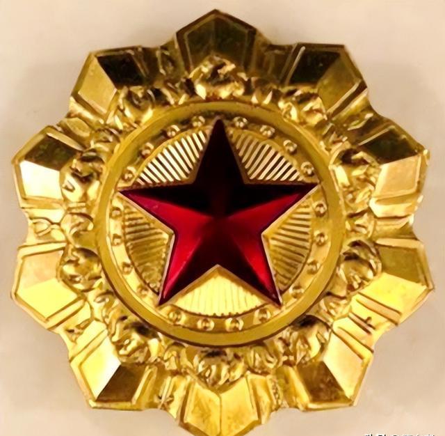 过家芳:老兵风云录,从军旅传奇到深深的人生反思