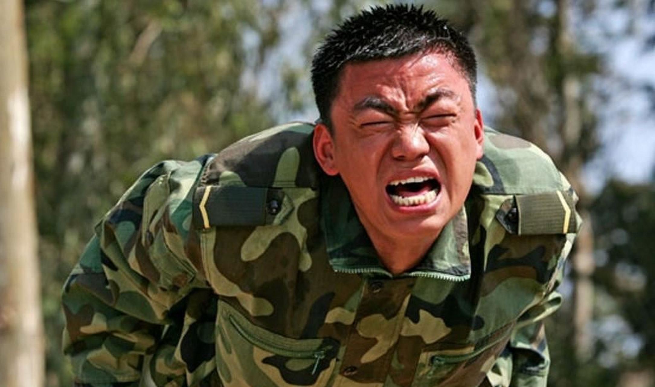 《士兵突击》的演员们通过各自的努力取得了成就.